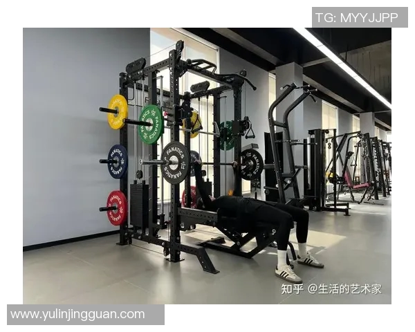 进口高端健身器材品牌与选择:选择进口高端器材时需要注意的事项 进口高端健身器材品牌与选择:选择进口高端器材时需要注意的事项