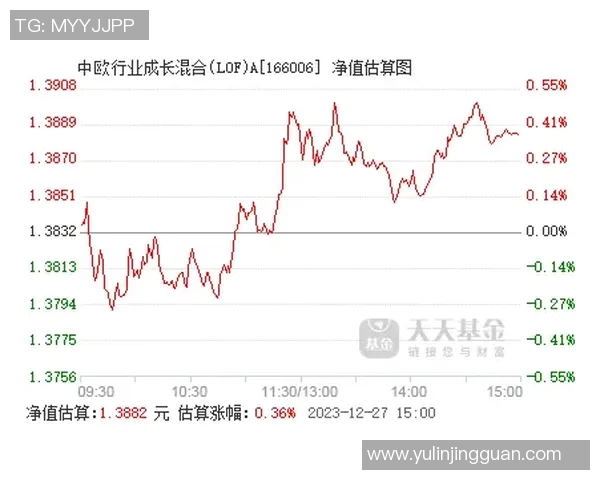 陈敏专访：从极限运动新手到行业先锋的成长之路回顾